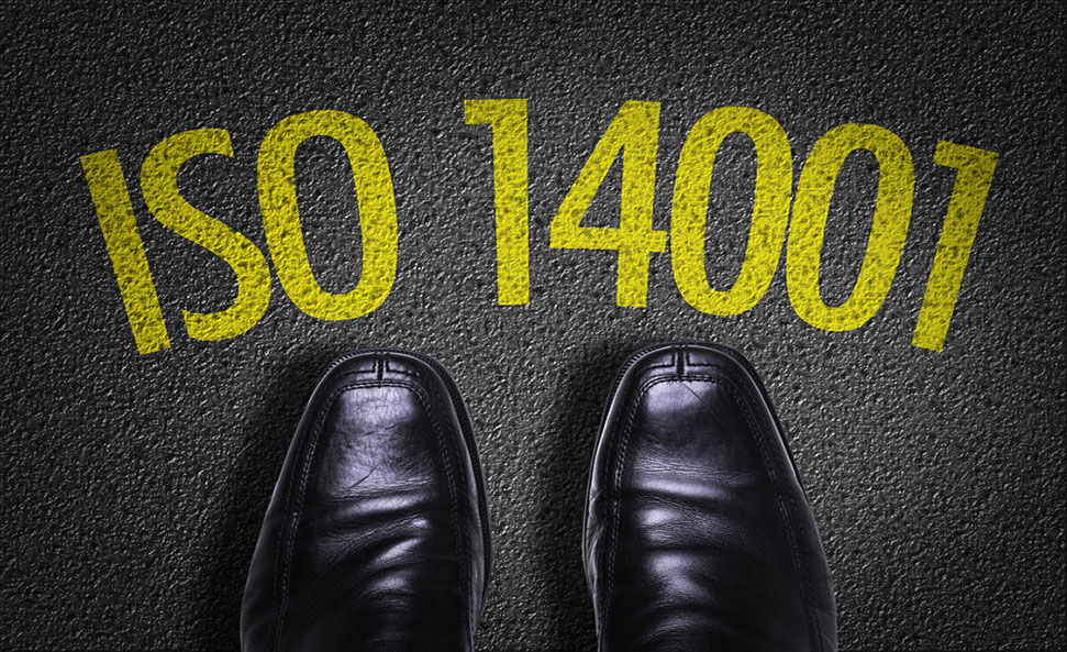 ISO14001-Shoe