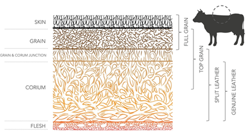 Types of leather, based on animal skin cut Types of leather, based on animal skin cut