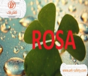 آموزش ارزیابی ارگونومیک مشاغل اداری با استفاده از روش ROSA